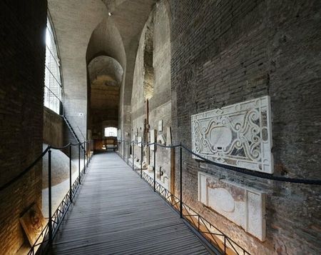 basiliek_neptunus (9)