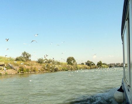 boot_ostia (4)