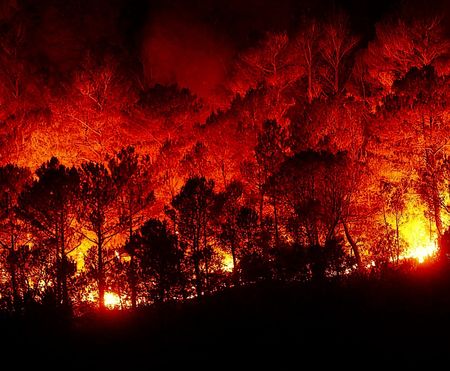Zware bosbrand verwoest natuurreservaat in Tivoli nabij Rome bosbrand