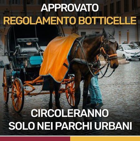 bottecel(24)