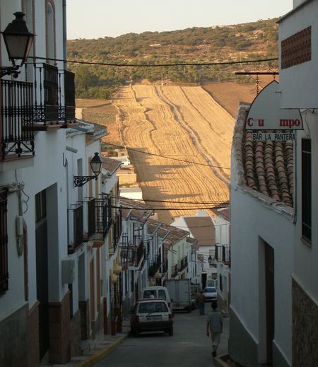 canetelareal