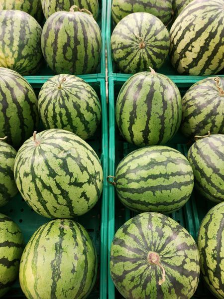 Voedingsmarkten in Rome mogen langer openblijven cocomero1