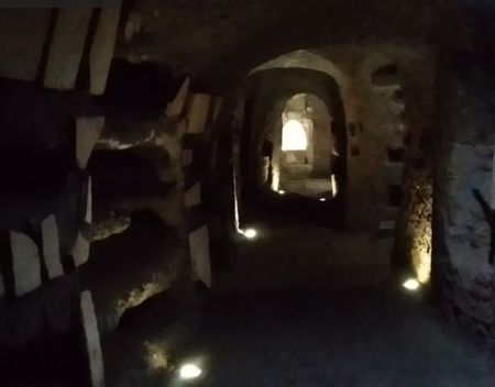 commodilla(24)