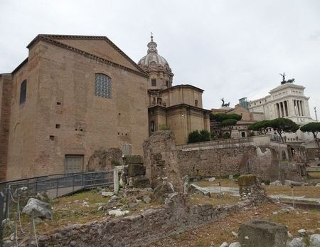 curia (8)