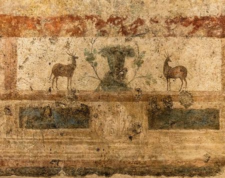 Een nachtelijk bezoek aan de Thermen van Caracalla domus_caracalla (5)