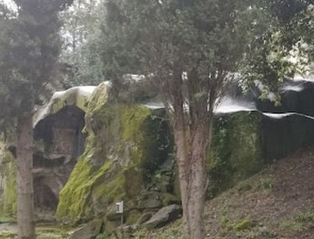 Fadilla_Nasoni (1)