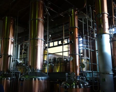 grappa_berta (5)