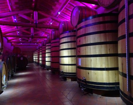 grappa_berta (7)