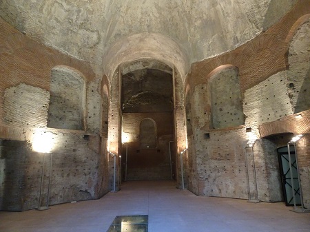 hortisallustio (3)