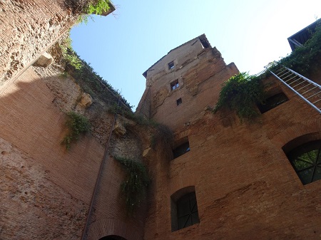 hortisallustio (4)