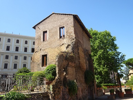 hortisallustio (5)