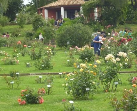 rozentuin_rome (7)