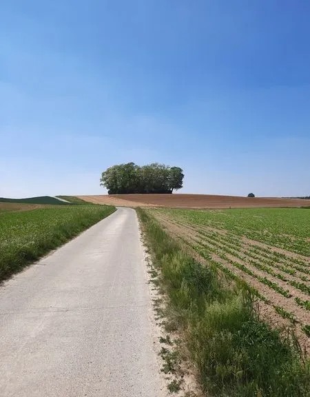 romeinen_in_leuven (1)