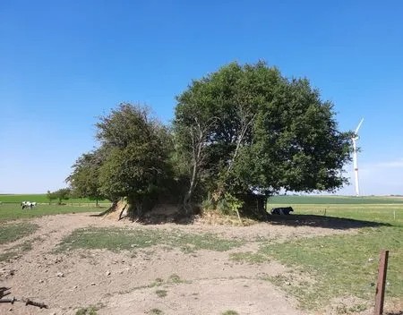 romeinen_in_leuven (7)