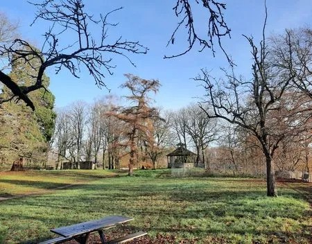 romeinen_in_leuven (6)