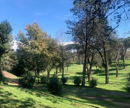 Rome trekt 60 miljoen euro uit voor boomverzorging park_bomen