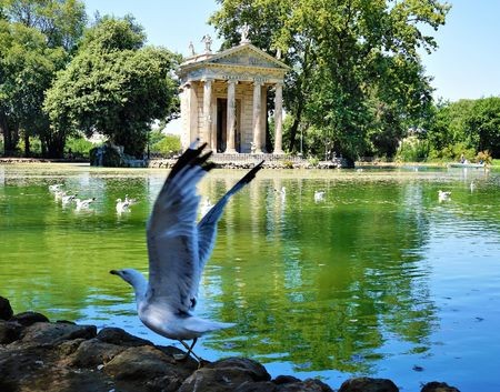Rome trekt 60 miljoen euro uit voor boomverzorging villa_borghese