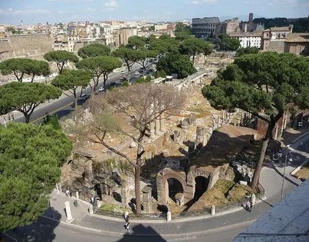forum-caesar (7)