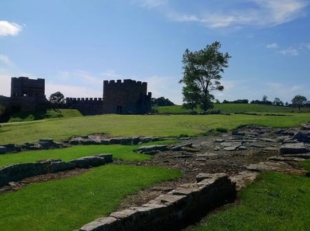 vindolanda