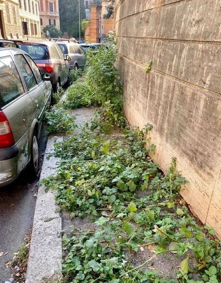 Stadsbestuur van Rome gaat op zoek naar gulle miljardairs projecten(16)