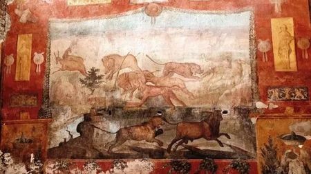 Casa dei Ceii Pompeii (8)