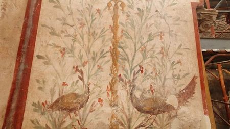 Casa dei Ceii Pompeii (4)