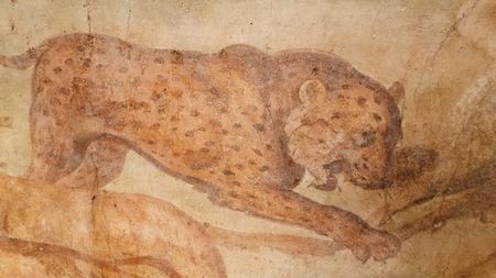 Casa dei Ceii Pompeii (6)