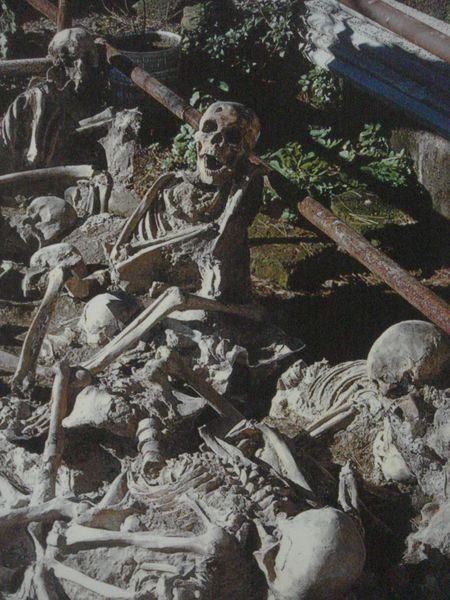 Herculaneum (9)