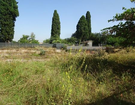 Domus Tiberiana voor het eerst in 50 jaar weer open voor bezoekers domus_tiberiana (7)