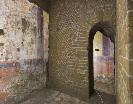 domus_tiberiana (1)
