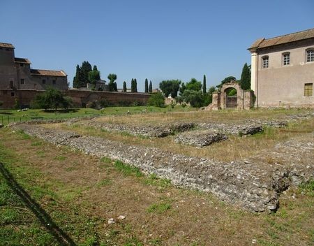 Rome produceert olijfolie en binnenkort wijn op de Palatijn oliovigna(4)
