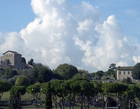 Rome produceert olijfolie en binnenkort wijn op de Palatijn oliovigna(5)