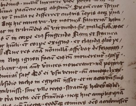 Manuscript Mysteries V – Vermist in Leuven: Cornelius Nepos nepo(6)