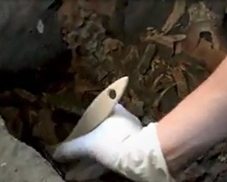 Nieuwe slachtoffers van de vulkaanramp uit 79 ontdekt in Pompeii pompeii_skeletten (3)