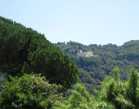 calischepen (2)