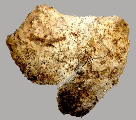 vindolandatrust (1)