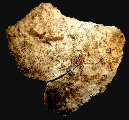 vindolandatrust (2)