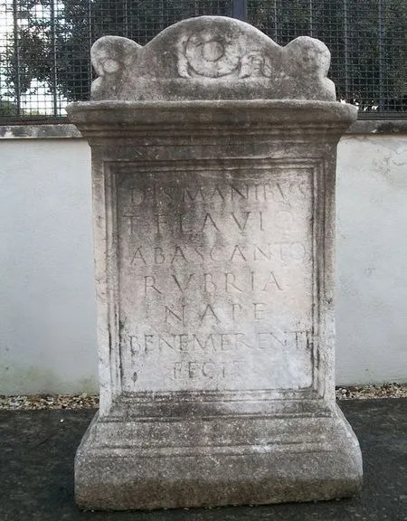 rubria(2)