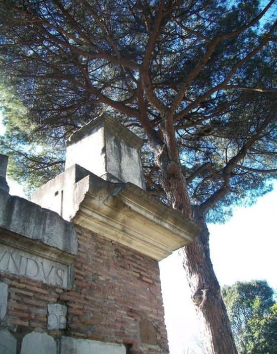 De complexe Secundini secundini(6)