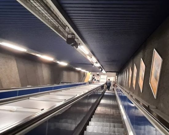 metroroltrap