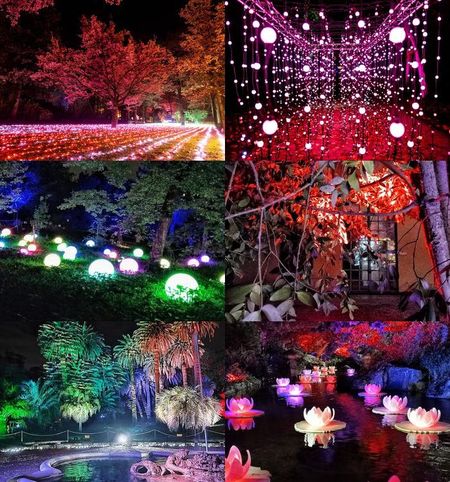 Rome pakt uit met een nieuw visueel evenement in de botanische tuin incantodiluci (4)