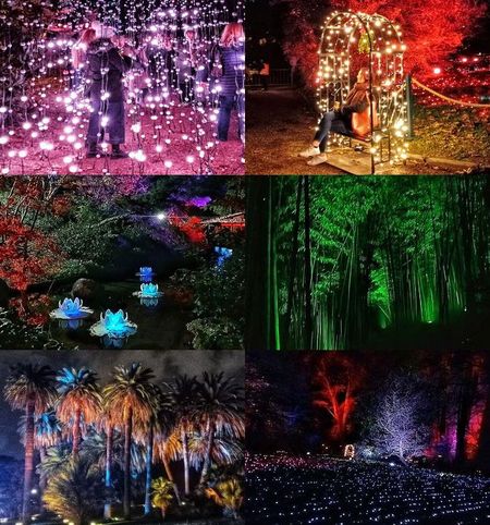 Rome pakt uit met een nieuw visueel evenement in de botanische tuin incantodiluci (5)
