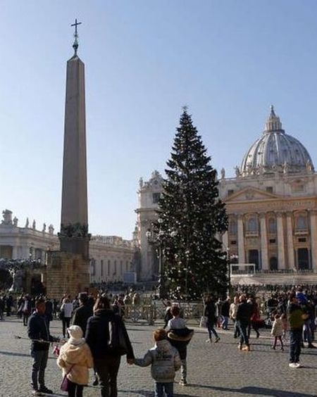 Oorspronkelijke Vaticaanse kerstboom mocht niet worden gekapt kerstboom3