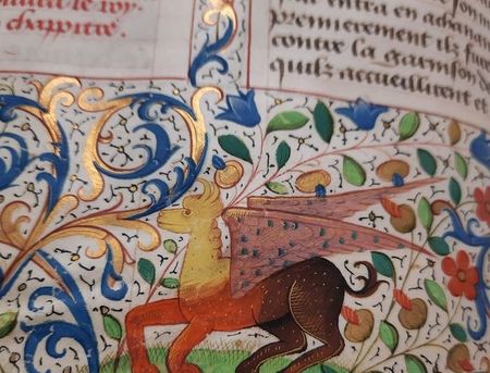 livius_manuscript (6)