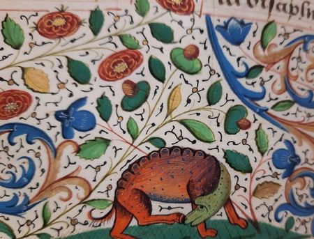 livius_manuscript (7)