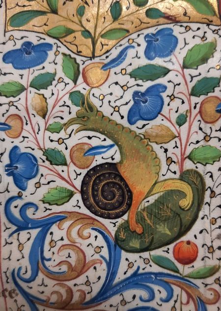 livius_manuscript (9)
