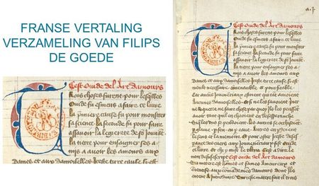 Manuscript Mysteries VIII – Metamorfose meta(16)