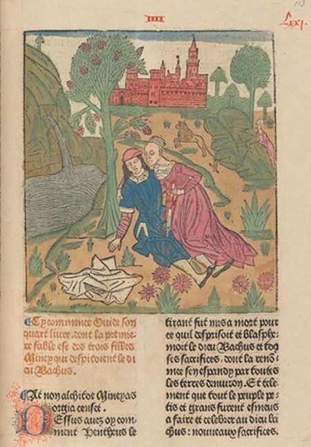 Manuscript Mysteries VIII – Metamorfose meta(6)