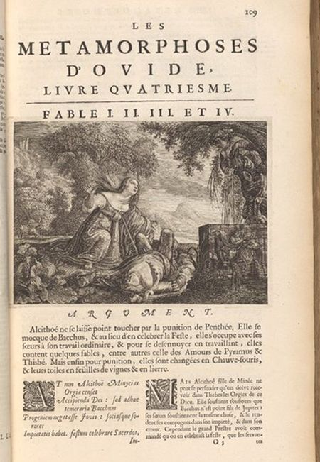 Manuscript Mysteries VIII – Metamorfose meta(8)
