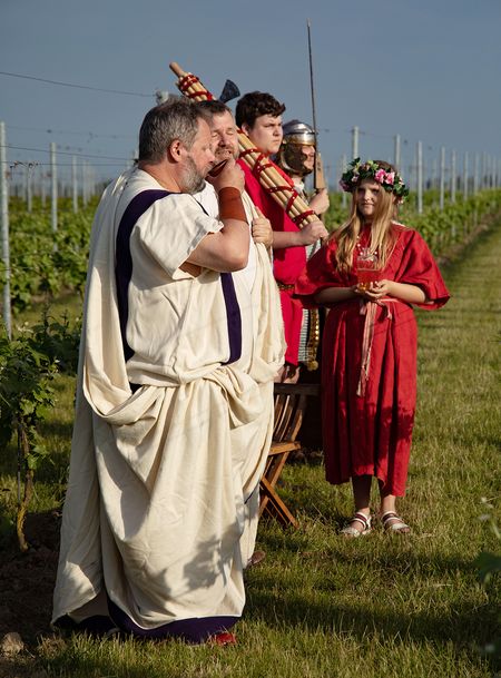 Viroviacum Romanum maakt Mulsum Vino Viro mulsum-wervik (4)